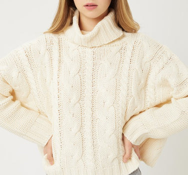 Turtle Neck Cable Knit Sweater