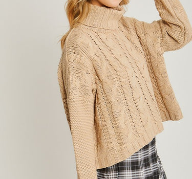 Turtle Neck Cable Knit Sweater