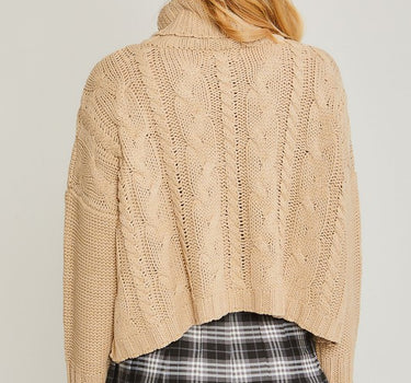 Turtle Neck Cable Knit Sweater