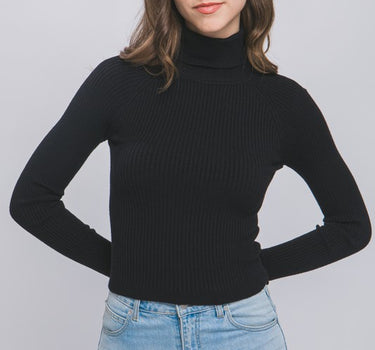 Turtleneck Ribbed Knit Sweater Top